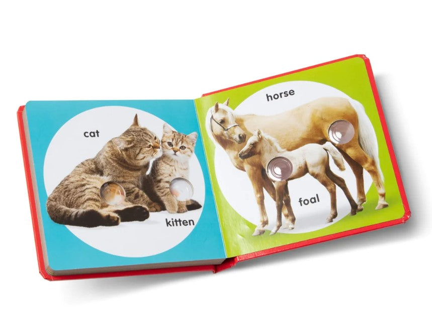 Poke-a-Dot: Pet Families Board Book