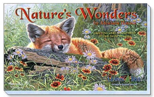 Leanin Tree Card Assortment - Nature's Wonders